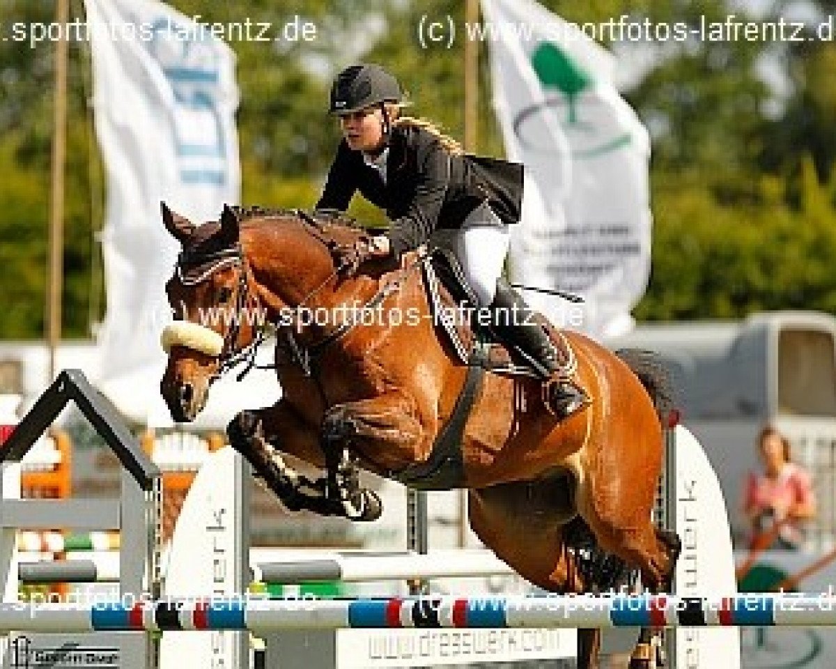 jumper Barricello 2 (Holsteiner, 2000, from Baldini I)