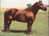 stallion Mr. San Peppy (Quarter Horse, 1968, from Leo San)