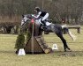 Springpferd Candy de Luxe 5 (Deutsches Reitpony, 2012, von FS Champion de Luxe)