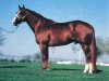 stallion Peppy San Badger (Quarter Horse, 1974, from Mr. San Peppy)