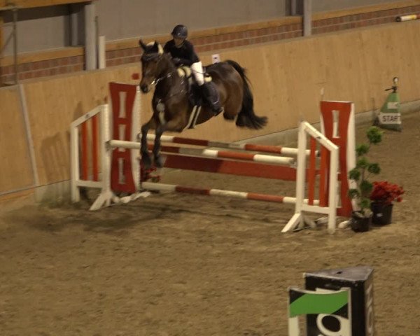 Reitturnier Osterholz-Scharmbeck 2022