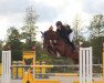 jumper Steuberhof's Golden Snow (Hanoverian, 2011, from Graf Top)