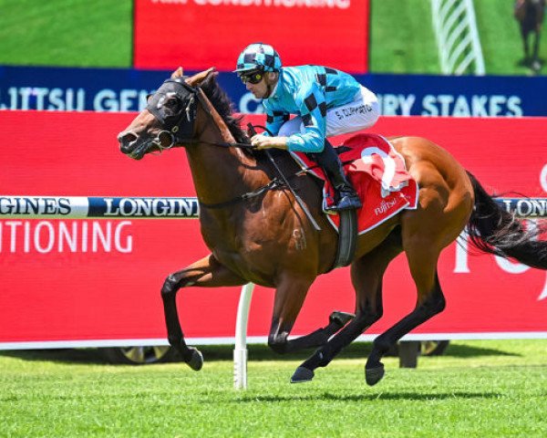 horse Best of Bordeaux xx (Thoroughbred, 2019, from Snitzel xx)