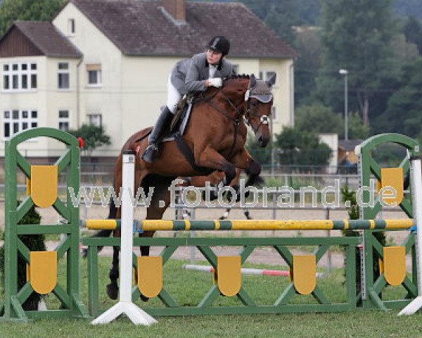 Springpferd Taffarell (Trakehner, 2000, von Schneesturm)