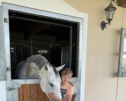 Springpferd Iton Du Plan D'Eau (Belgisches Warmblut, 2014, von Clinton)