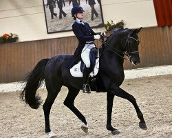 dressage horse Dayala (Oldenburg, 2015, from De Niro)