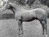 stallion Blue Peter xx (Thoroughbred, 1936, from Fairway xx)