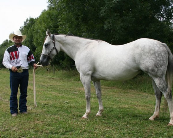 broodmare Dont Mind Trouble (Quarter Horse,  , from Broadway BH)