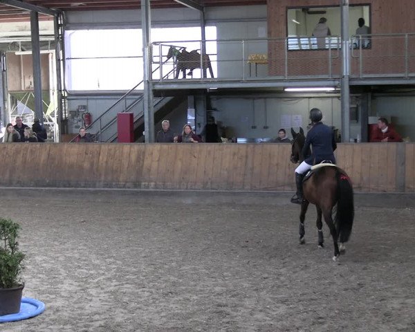 Reitturnier Freudenberg 2022