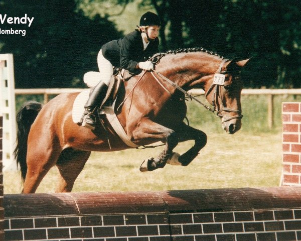 Zuchtstute Wendy (Hessisches Warmblut, 1982, von Wedding)