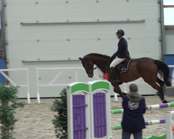 Reitturnier Borken 2022