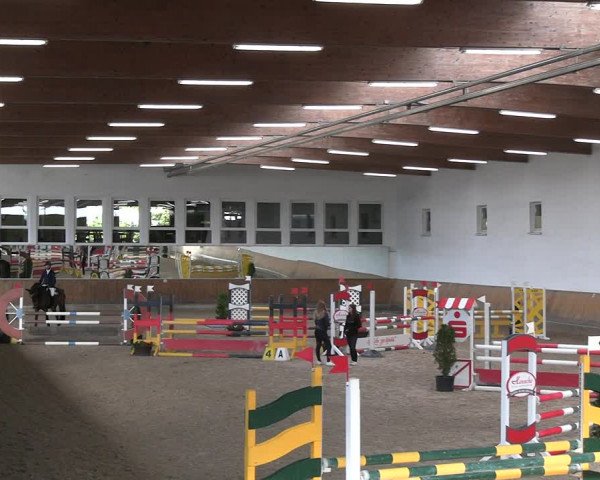 Reitturnier Freudenberg 2022
