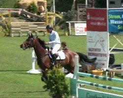 jumper Little Esprit (Hanoverian, 2000, from Espri)