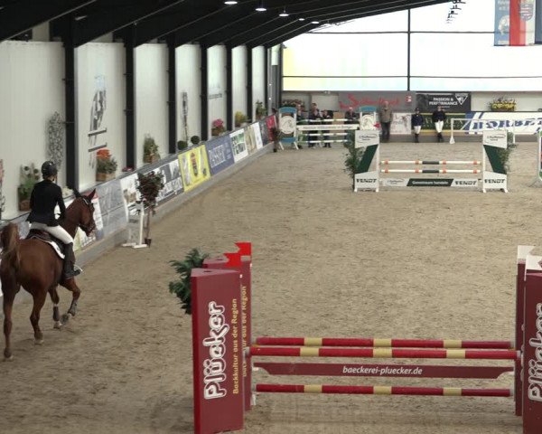 Reitturnier Borken 2022