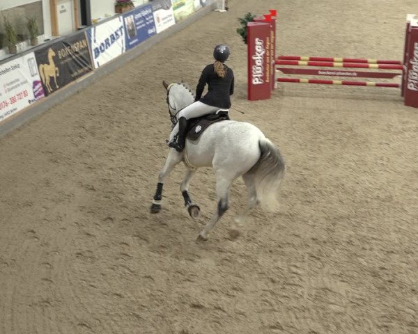 Reitturnier Borken 2022