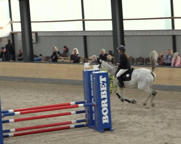 Reitturnier Borken 2022