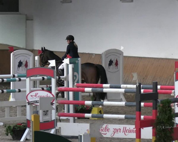 Reitturnier Freudenberg 2022