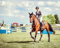 jumper Disney 83 (Oldenburg show jumper, 2017, from Diamant de Semilly)