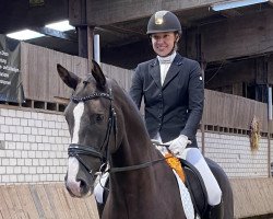 dressage horse Beloved 4 (Oldenburg, 2019, from Callaho's Benicio)