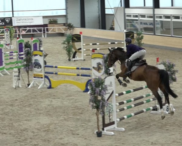 Reitturnier Borken 2022
