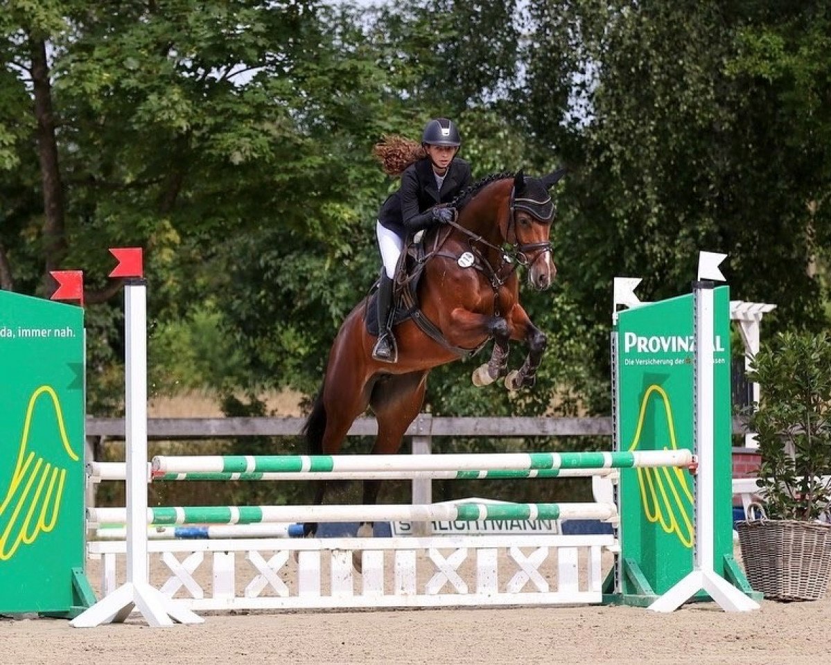 Springpferd Cadira S (Westfale, 2017, von Cavtat PKZ)