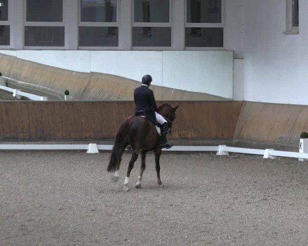 Reitturnier Freudenberg 2022