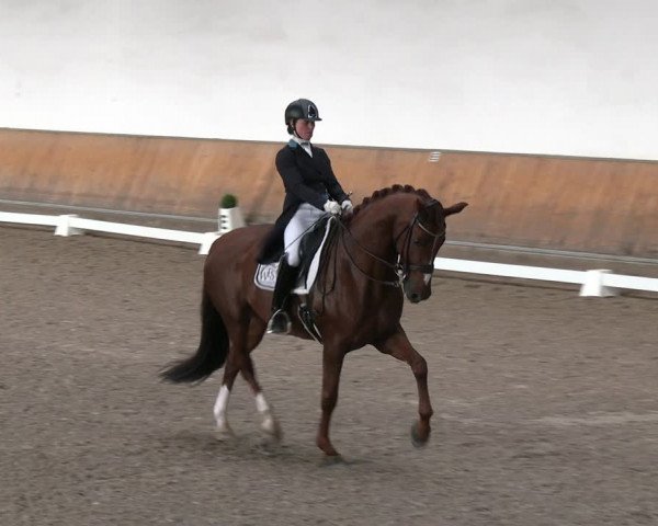 Reitturnier Freudenberg 2022