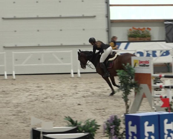 Reitturnier Borken 2022