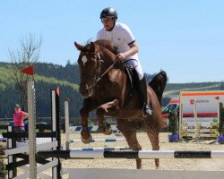 dressage horse Fighter (Westphalian, 2000, from Fibonacci)