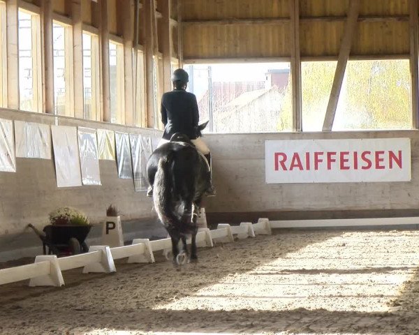 Reitturnier Urtenen-Schönbühl 2022