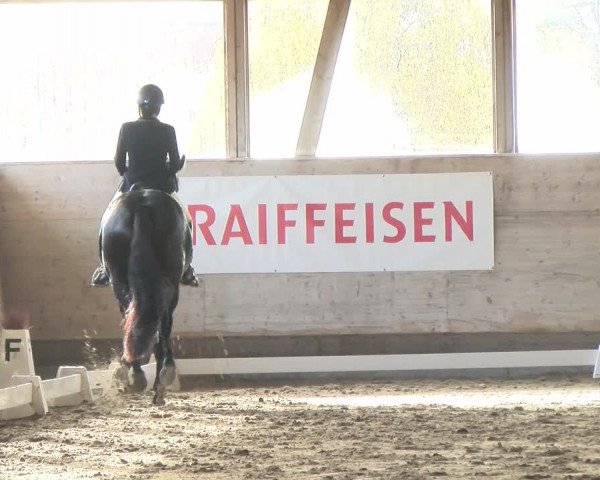 Reitturnier Urtenen-Schönbühl 2022