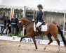 Zuchtstute Dancing Rose (Deutsches Reitpony, 2017, von Dance Star AT)