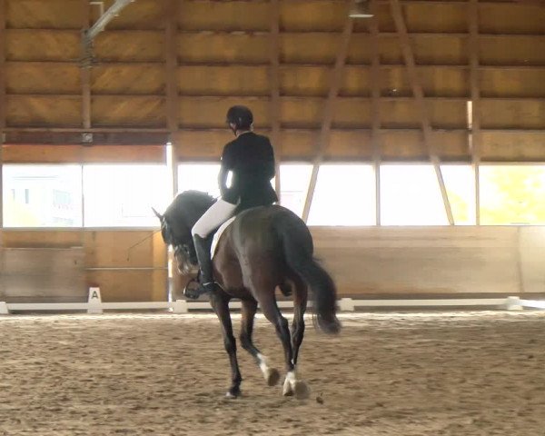 Reitturnier Urtenen-Schönbühl 2022