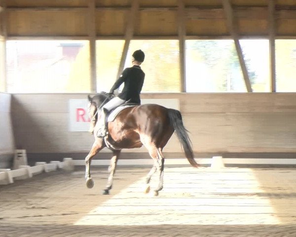 Reitturnier Urtenen-Schönbühl 2022