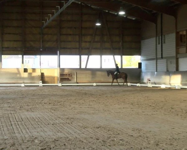 Reitturnier Urtenen-Schönbühl 2022
