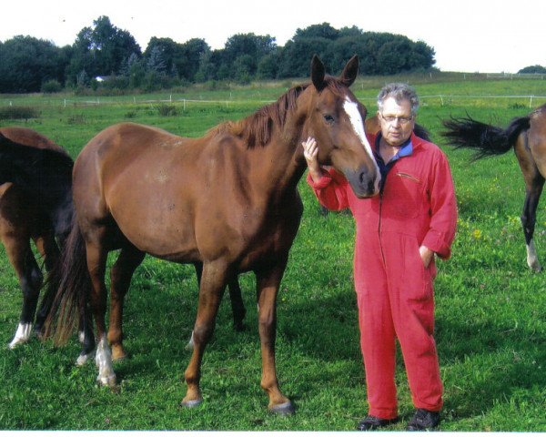 broodmare Dehlia (German Sport Horse, 2005, from D-Online)