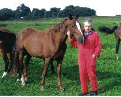 broodmare Dehlia (German Sport Horse, 2005, from D-Online)