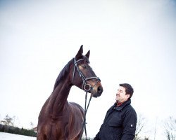 Springpferd Coriolla (Tschechisches Warmblut, 2006, von Carol)