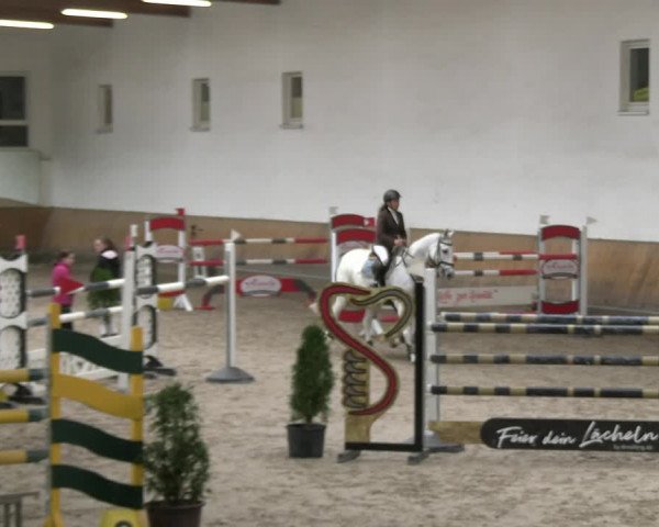 Reitturnier Freudenberg 2022
