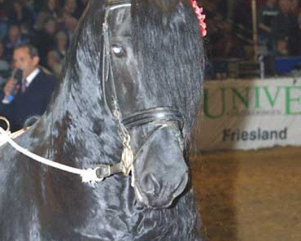 stallion Ritse 322 (Friese, 1989, from Oege 267)