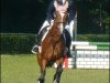 broodmare Satisfaction (German Sport Horse, 2004, from Sadenio)