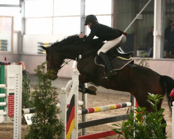 Springpferd Rachel Green (Hessisches Warmblut, 2003, von Renegade Z)