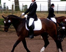 dressage horse Reviero 2 (Hanoverian, 2002, from Rotspon)