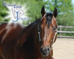 Deckhengst Heavens Little Jewel (Quarter Horse, 2001, von Gallo Del Cielo)