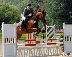 dressage horse Dr. Snuggles R (Westphalian, 2002, from Democraat)