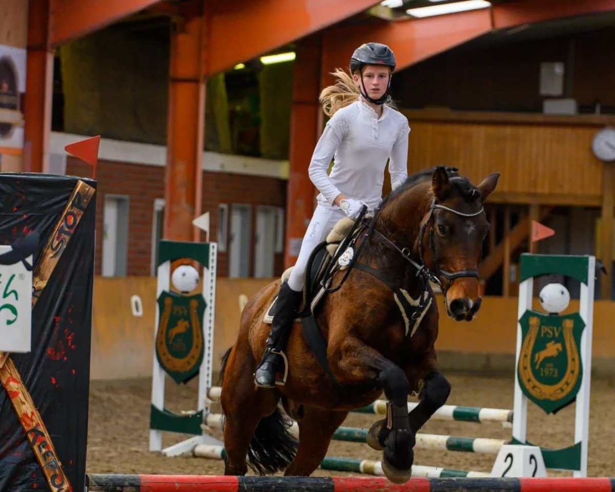 jumper Percy 283 (Friesian-Mix, 2010)