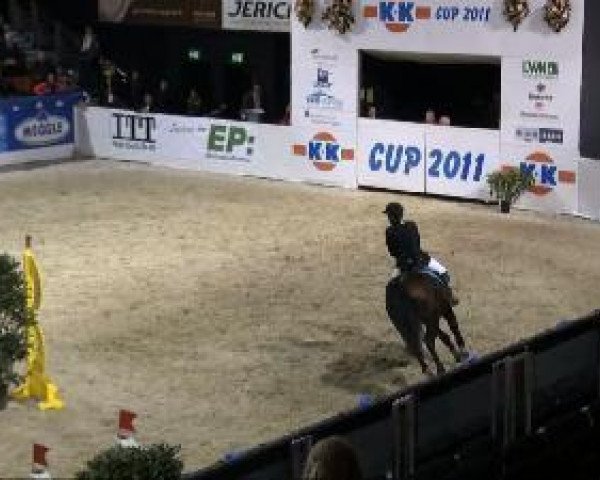 jumper Aramis 472 (Hessian Warmblood, 2000, from Akteur)