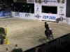 jumper Aramis 472 (Hessian Warmblood, 2000, from Akteur)