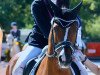 dressage horse Namico (German Riding Pony, 2010, from Nobelstar)