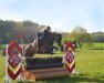 jumper Lambrasco N (Oldenburg show jumper, 2011, from Levisonn 208 FIN)